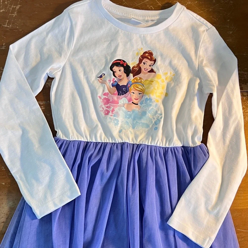 Disney measurements pit